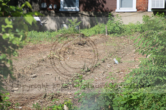IMG_0055.1226 COMMUNITY GARDEN July 18 2020 @KTIP Laura Elam