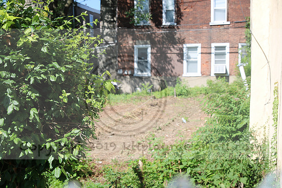 IMG_0057.1226 COMMUNITY GARDEN July 18 2020 @KTIP Laura Elam
