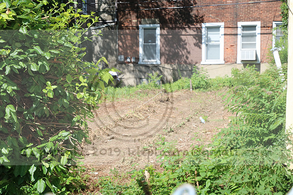 IMG_0058.1226 COMMUNITY GARDEN July 18 2020 @KTIP Laura Elam