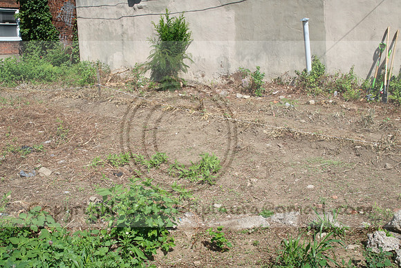 IMG_0071.1226 COMMUNITY GARDEN July 18 2020 @KTIP Laura Elam