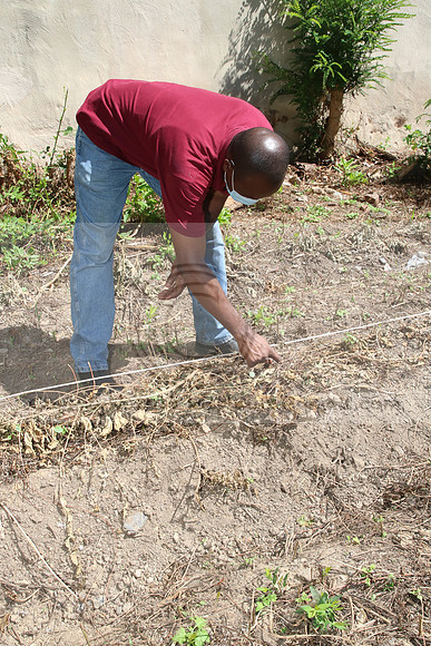 IMG_0123.1226 COMMUNITY GARDEN July 18 2020 @KTIP Laura Elam