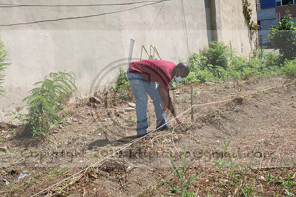 IMG_0124.1226 COMMUNITY GARDEN July 18 2020 @KTIP Laura Elam