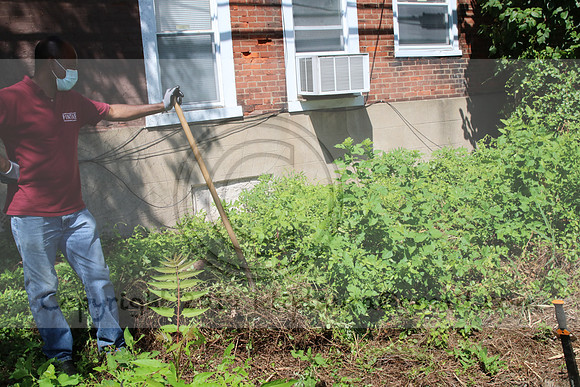 IMG_0138.1226 COMMUNITY GARDEN July 18 2020 @KTIP Laura Elam