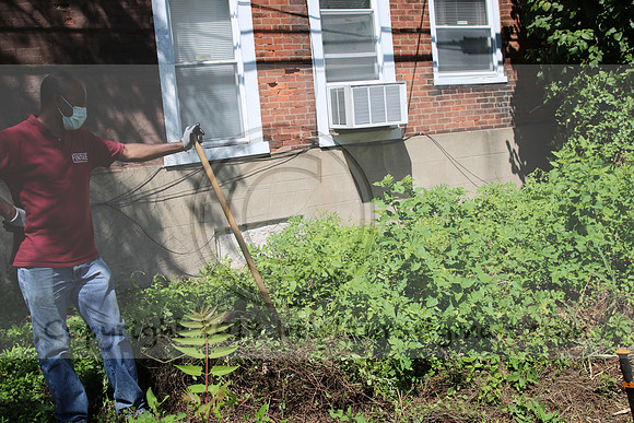 IMG_0139.1226 COMMUNITY GARDEN July 18 2020 @KTIP Laura Elam