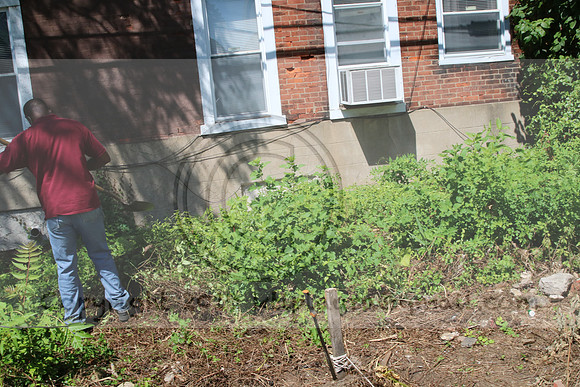 IMG_0141.1226 COMMUNITY GARDEN July 18 2020 @KTIP Laura Elam