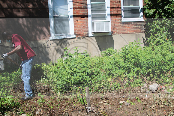 IMG_0142.1226 COMMUNITY GARDEN July 18 2020 @KTIP Laura Elam
