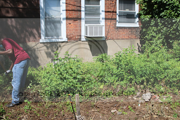 IMG_0144.1226 COMMUNITY GARDEN July 18 2020 @KTIP Laura Elam