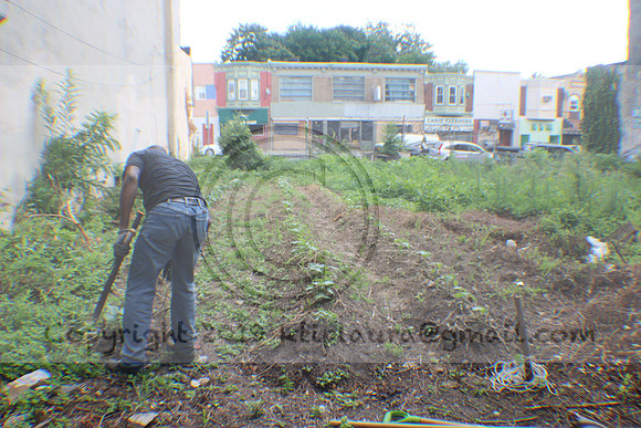 IMG_0383.1226 Community Garden August 1, 2020 @KTIP Laura Elam