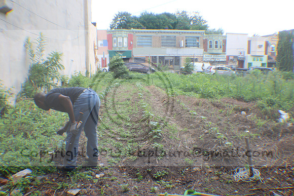 IMG_0381.1226 Community Garden August 1, 2020 @KTIP Laura Elam