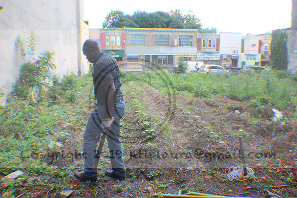 IMG_0384.1226 Community Garden August 1, 2020 @KTIP Laura Elam