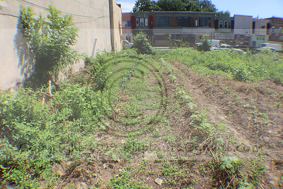 IMG_3481.1226 Community Garden August 1, 2020 @KTIP Laura Elam