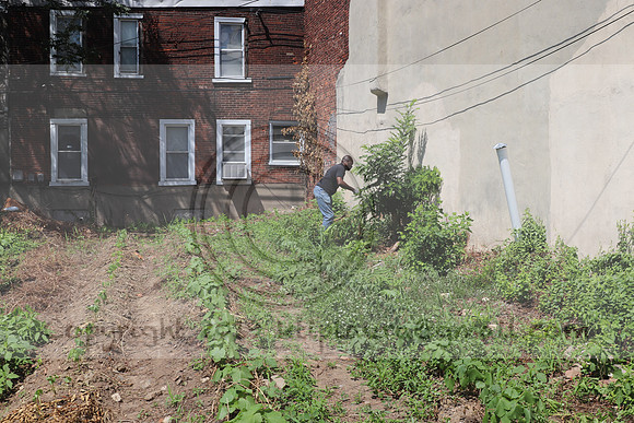 IMG_3509.1226 Community Garden August 1, 2020 @KTIP Laura Elam