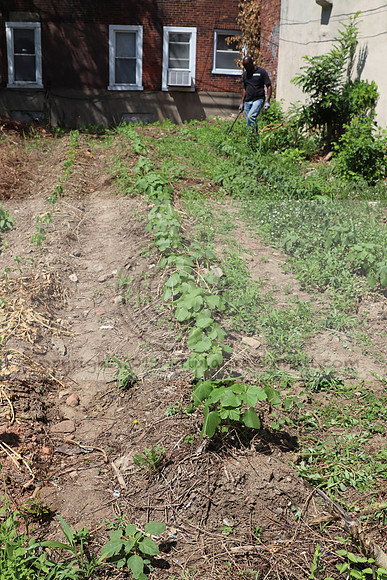 IMG_3513.1226 Community Garden August 1, 2020 @KTIP Laura Elam