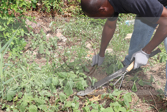 IMG_3592.1226 Community Garden August 1, 2020 @KTIP Laura Elam