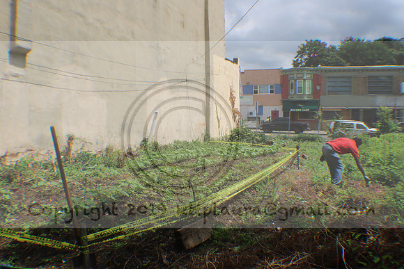 IMG_4349.1226 Community Garden August 8, 2020 @KTIP Laura Elam
