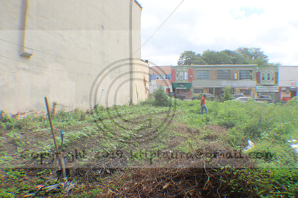 IMG_4342.1226 Community Garden August 8, 2020 @KTIP Laura Elam