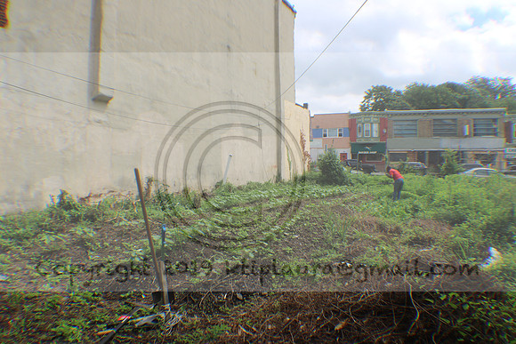 IMG_4338.1226 Community Garden August 8, 2020 @KTIP Laura Elam