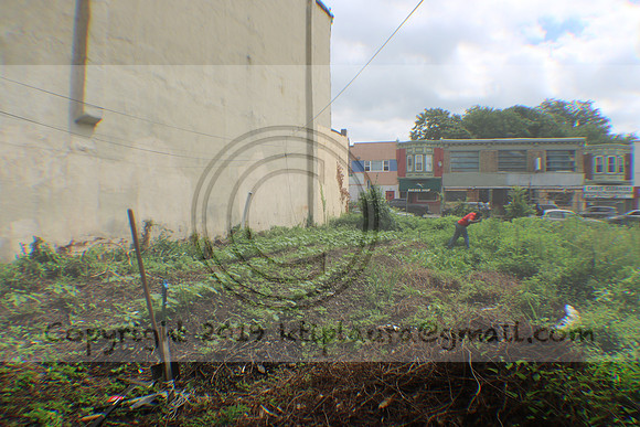 IMG_4336.1226 Community Garden August 8, 2020 @KTIP Laura Elam