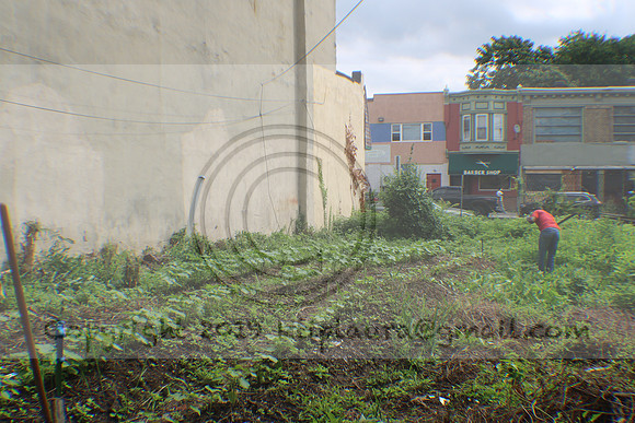 IMG_4333.1226 Community Garden August 8, 2020 @KTIP Laura Elam