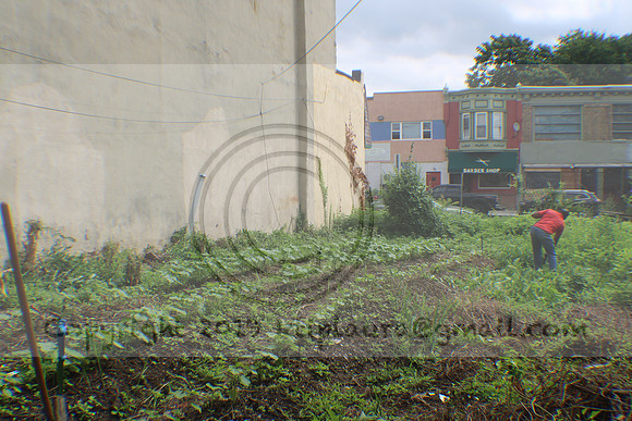 IMG_4332.1226 Community Garden August 8, 2020 @KTIP Laura Elam