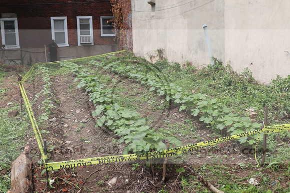 IMG_4501.1226 Community Garden  2b August 8, 2020 @KTIP Laura Elam
