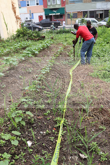 IMG_4478.1226 Community Garden  2b August 8, 2020 @KTIP Laura Elam