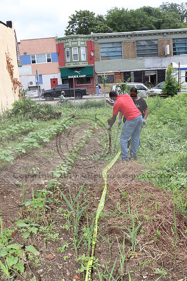 IMG_4477.1226 Community Garden  2b August 8, 2020 @KTIP Laura Elam