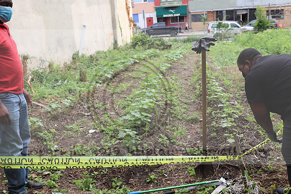IMG_4476.1226 Community Garden  2b August 8, 2020 @KTIP Laura Elam