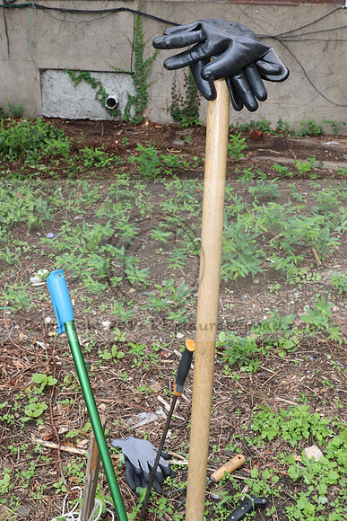 IMG_4466.1226 Community Garden  2b August 8, 2020 @KTIP Laura Elam