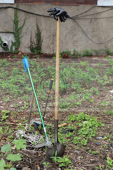 IMG_4464.1226 Community Garden  2b August 8, 2020 @KTIP Laura Elam