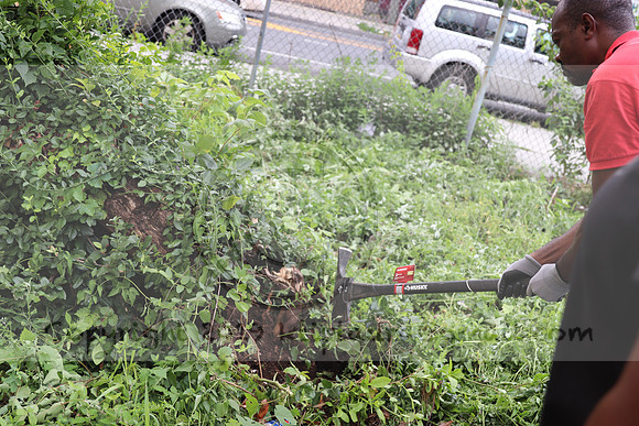IMG_4418.1226 Community Garden  2b August 8, 2020 @KTIP Laura Elam