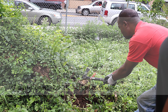 IMG_4416.1226 Community Garden  2b August 8, 2020 @KTIP Laura Elam