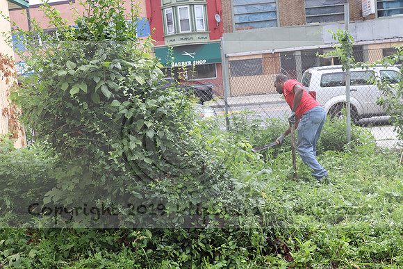 IMG_4407.1226 Community Garden  2b August 8, 2020 @KTIP Laura Elam