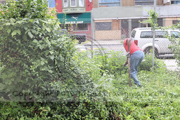 IMG_4406.1226 Community Garden  2b August 8, 2020 @KTIP Laura Elam