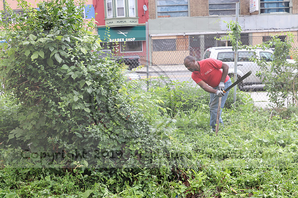 IMG_4405.1226 Community Garden  2b August 8, 2020 @KTIP Laura Elam