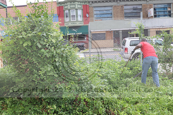 IMG_4401.1226 Community Garden  2b August 8, 2020 @KTIP Laura Elam