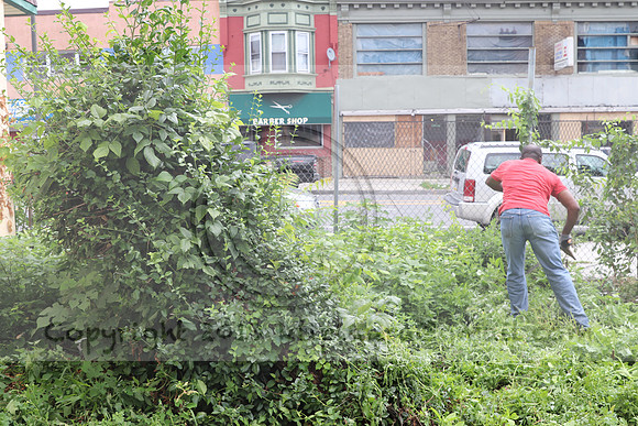 IMG_4403.1226 Community Garden  2b August 8, 2020 @KTIP Laura Elam