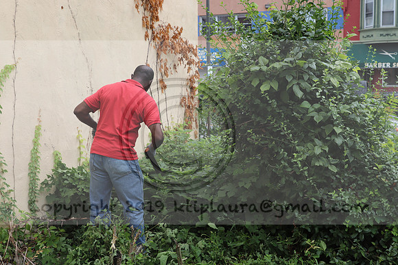 IMG_4399.1226 Community Garden  2b August 8, 2020 @KTIP Laura Elam