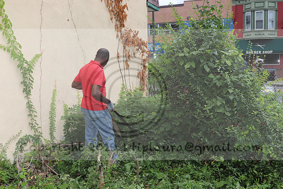 IMG_4398.1226 Community Garden  2b August 8, 2020 @KTIP Laura Elam