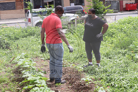 IMG_4386.1226 Community Garden  2b August 8, 2020 @KTIP Laura Elam