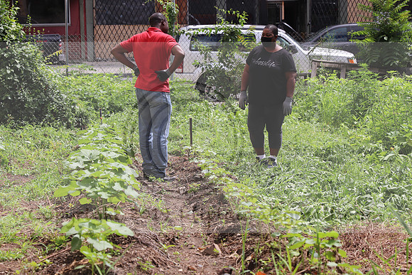 IMG_4381.1226 Community Garden  2b August 8, 2020 @KTIP Laura Elam