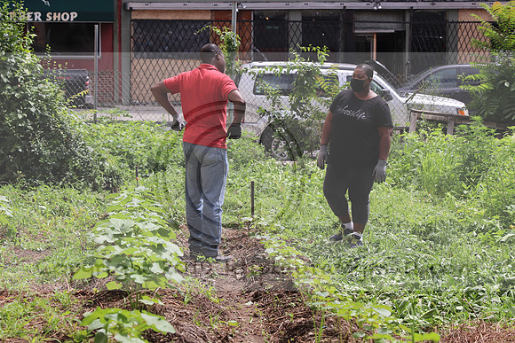 IMG_4380.1226 Community Garden  2b August 8, 2020 @KTIP Laura Elam