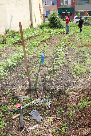 IMG_4377.1226 Community Garden  2b August 8, 2020 @KTIP Laura Elam