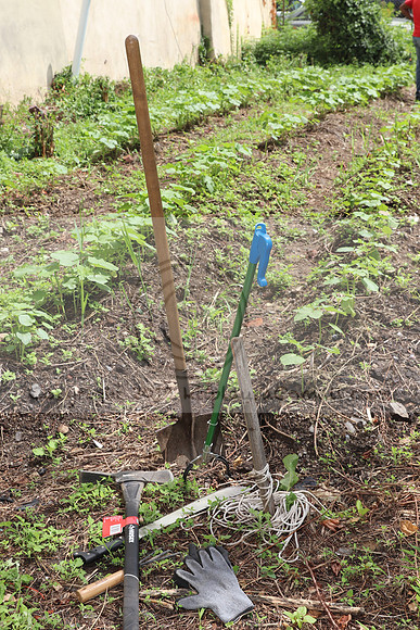 IMG_4376.1226 Community Garden  2b August 8, 2020 @KTIP Laura Elam
