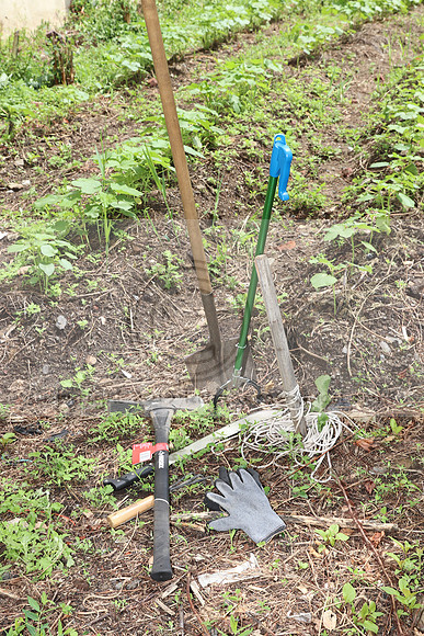 IMG_4375.1226 Community Garden  2b August 8, 2020 @KTIP Laura Elam