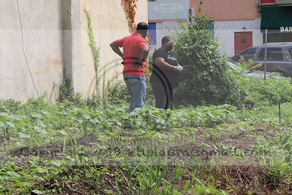 IMG_4374.1226 Community Garden  2b August 8, 2020 @KTIP Laura Elam