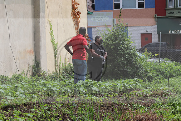 IMG_4373.1226 Community Garden  2b August 8, 2020 @KTIP Laura Elam