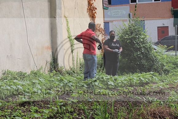 IMG_4372.1226 Community Garden  2b August 8, 2020 @KTIP Laura Elam
