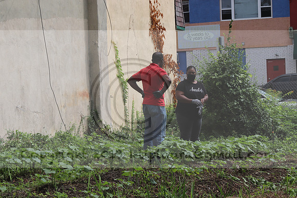 IMG_4371.1226 Community Garden  2b August 8, 2020 @KTIP Laura Elam