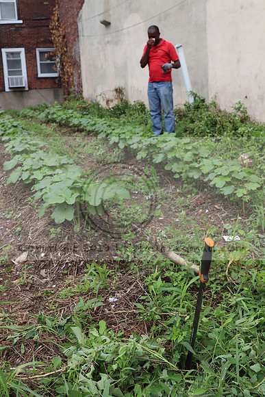 IMG_4362.1226 Community Garden  2b August 8, 2020 @KTIP Laura Elam